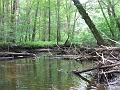 canoeing - cmr klea Tim S july 7 2006 french river trail - one of many barriers